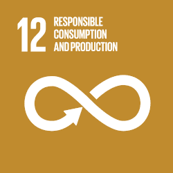 Sustainable Development Goal 12 - Resonsible consumption and production 
