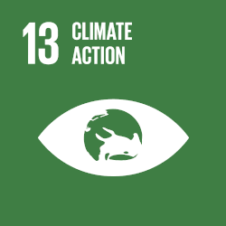 Sustainable Development Goal 13 - Climate action